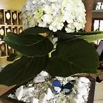 Hotel Ambasciatori 3*
