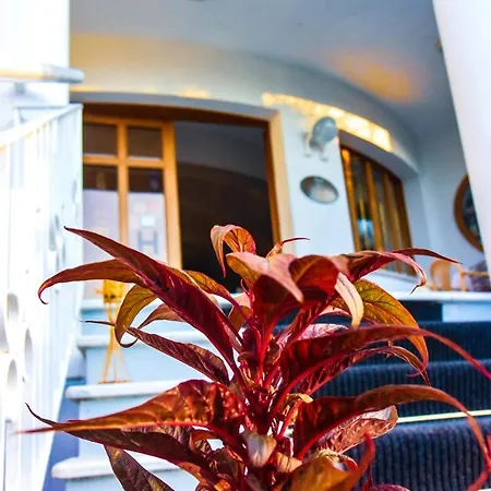 Ambasciatori 3* קסטרוקארו טרמה