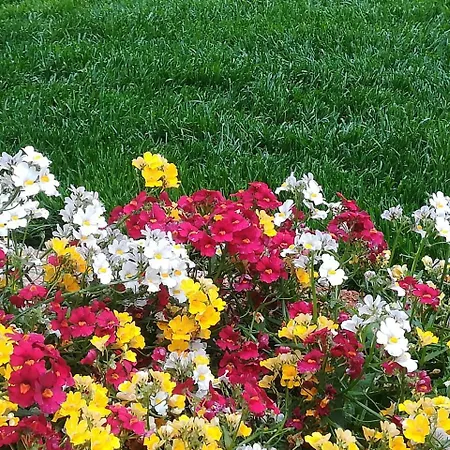 Ambasciatori מלון