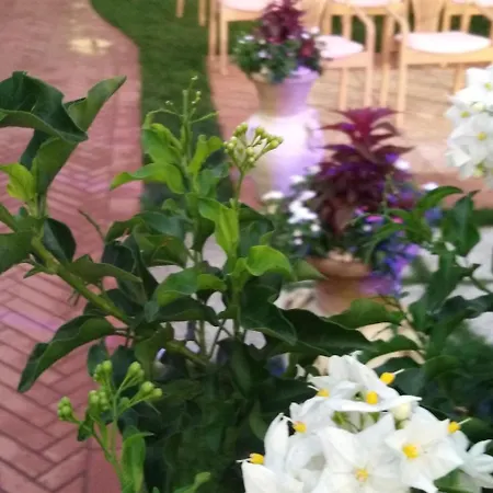 Ambasciatori 3* קסטרוקארו טרמה