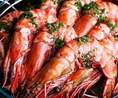 Ambasciatori 3* Castrocaro Terme