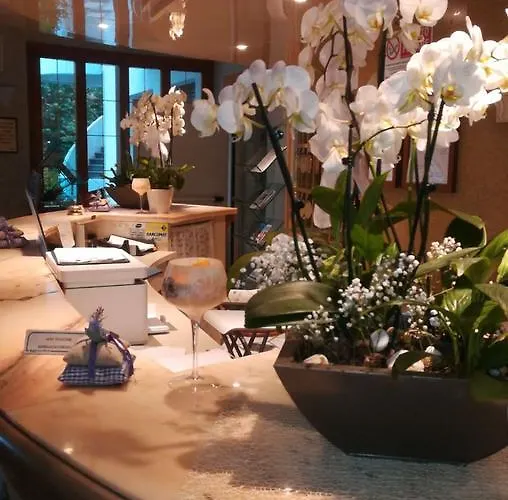 Ambasciatori 3* Castrocaro Terme