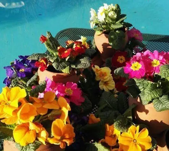 Ambasciatori Castrocaro Terme